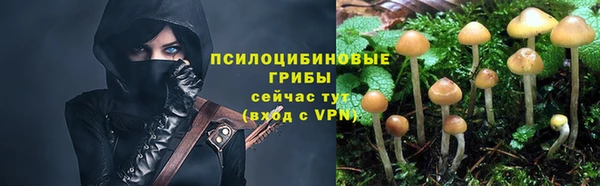 МДПВ Белокуриха