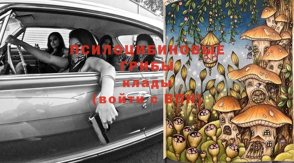 гидропоника Богородицк